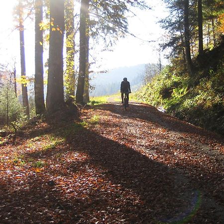 Hotel Lamm Baiersbronn Mitteltal ภายนอก รูปภาพ