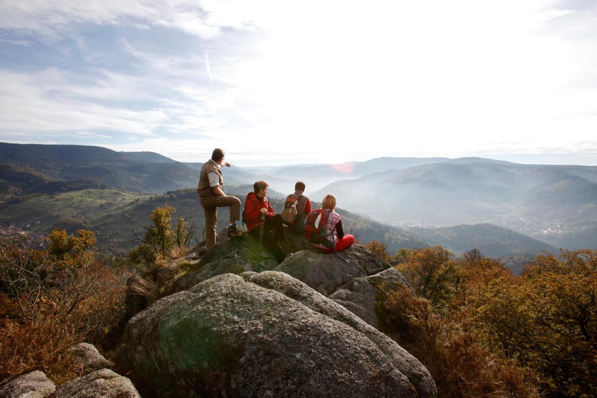 Hotel Lamm Baiersbronn Mitteltal ภายนอก รูปภาพ